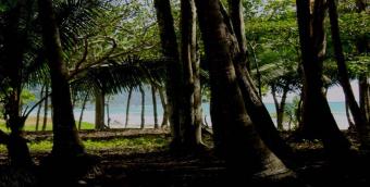 beach front lot!!!! Santa Teresa -mal Pais